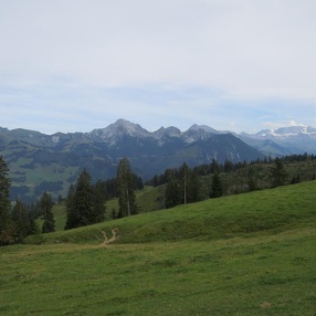 Chästeilet Site-Alp 3. September 2016